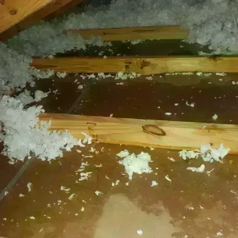 Attic Water Damage in Howard, SD