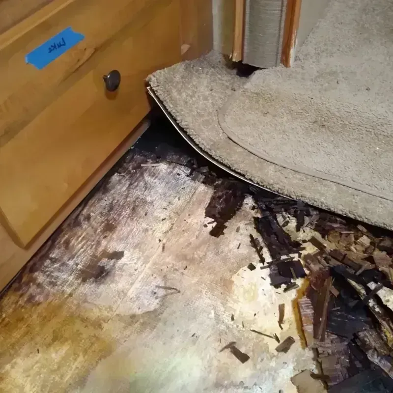 Wood Floor Water Damage in Howard, SD